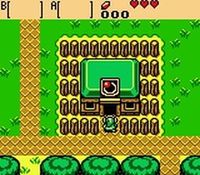 une photo d'Ã©cran de The Legend of Zelda - Oracle of Seasons sur Nintendo Game Boy Color